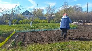 Будни деревенских людей. Дела огородные