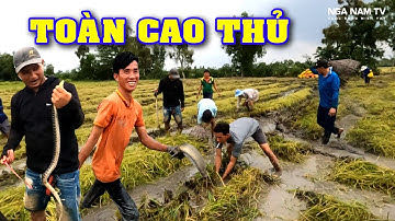 Phát Hiện Cao Thủ Săn Bắt Cá, Bắt Chuột, Bắt Chim, Bắt Rắn Theo Máy Cắt Quá Đỉnh/NGÃ NĂM TV