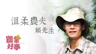 【新竹寶山賴先生】用「溫柔」來種植牛番茄的男子~ 