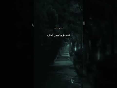 الشيخ كشك كلب الغني لما عض الفقير