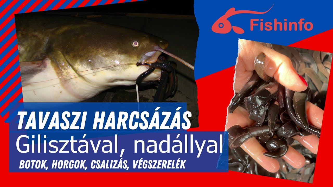 Tavaszi HARCSAHORGÁSZAT folyóvízen, gilisztával, nadállyal. (Botok, zsinórok, horgok, csalik.)