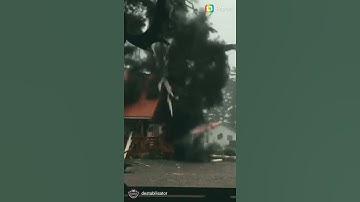 thunder and lightning destroy tree, amazing video captured live.