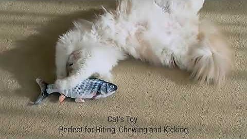 Electric Fish Cat Toy