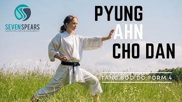 How to do Pyung Ahn Cho Dan: Tang Soo Do