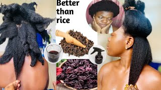 HOW TO: use cloves \& hibiscus for HAIR GROWTH in 2 weeks#simplychisom #naturalhair #cloves