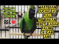 Masteran Cucak Ijo Full Tembakan Beset Kasar Paling Di Cari Juri Mp3 - Mp4 Download