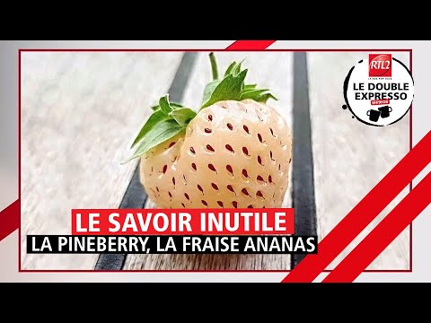 Vidéo: Fraise Ananas: Description De La Variété, Photo