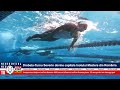 DROBETA-TURNU SEVERIN DEVINE CAPITALA ÎNOTULUI MASTERS DIN ROMÂNIA