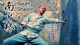 [Kung Fu Movie] Shaolin monk trains and masters Grand Compassion Vajra Palm, eradicating all villain