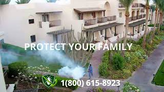 Top 3 Bed Bug Removal in Festus