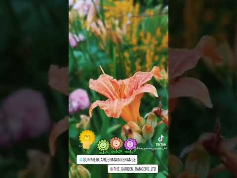 Garden Maintenance of Large Grounds in Nottingham