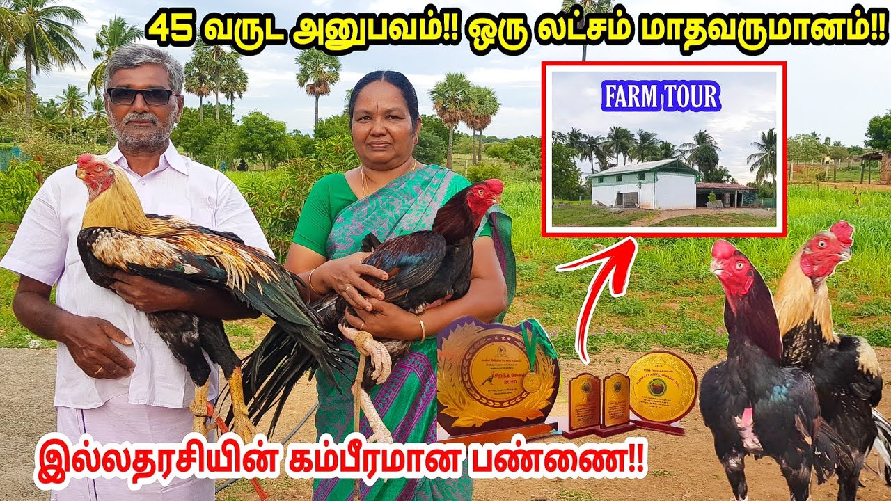 45 வருடம் பாரம்பரிய கோழி வளர்ப்பு - இல்லதரசியின் பிரமாண்ட பண்ணை| Farm Tour |