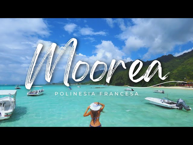 Polinesia Francesa isla Moorea
