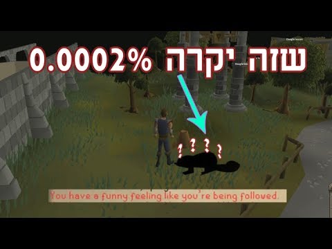 Fastest way to make money in runescape non members