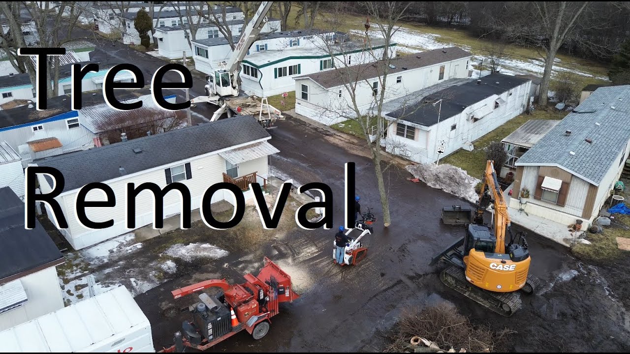 Tree Removal with Crane | Aerial Footage by DronePilotLivonia.com - YouTube
