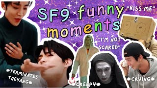 SF9 being themselves for 13 minutes | funny and cute moments