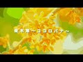 メッセージ付き 金木犀 ココロバナ Fragrant Olive Flowers Blooming In Your Heart メッセージ付き 金木犀 ココロバナ Fragrant Olive Flowers Blooming In Your Heart