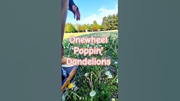 Onewheel Poppin