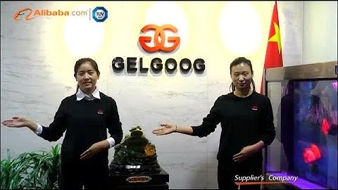 Promotional Video - Henan GELGOOG Company