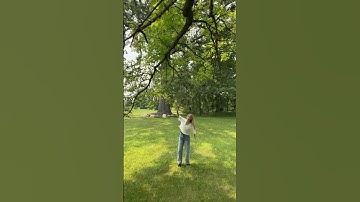Thumbnail of The new Lemonade dance! @hiforrest @the.figs.official  #dance #music #forestfrank #trend