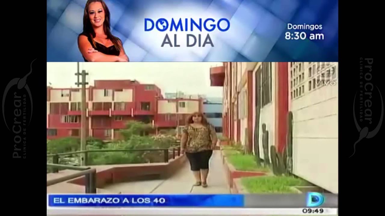 Pros Y Contras De Un Año Sabatico
