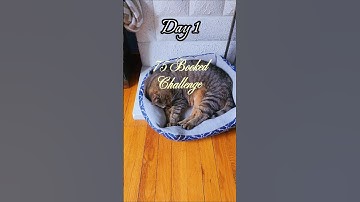 Day 1 of 75 Booked-VLOG 📖📚💫🎧 #booktube #booktok #75bookedchallenge #readingvlog