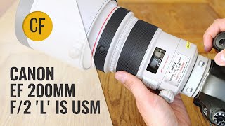 Canon Ef 0mm F 2 L Is Usm Lens Review With Samples Youtube