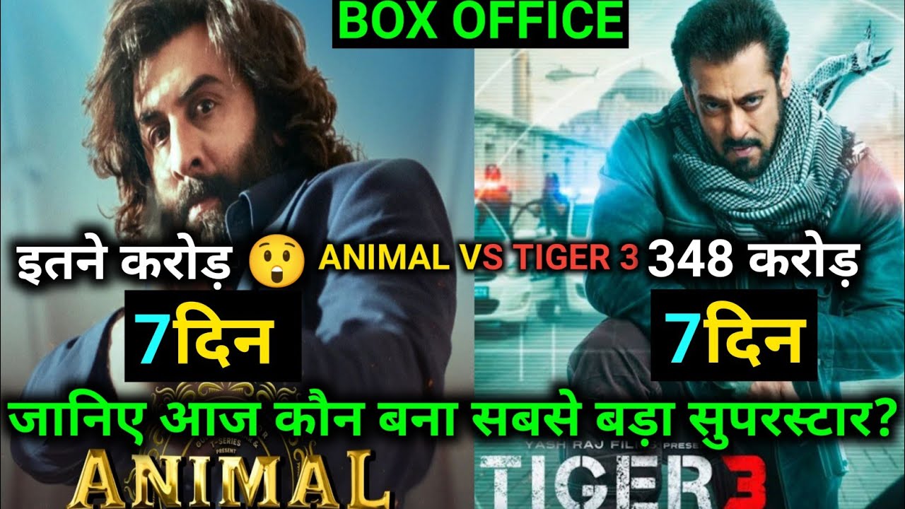 Animal Box Office Collection | Animal Day 6 Box Office Collection
