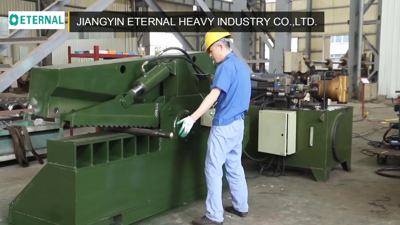 Alligator Shear Machine Q43-200