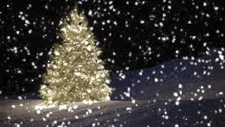 [10 Hours] Slo-Mo Snow falling on Christmas Tree - Video & Audio [1080HD] SlowTV