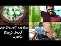 మా పొలంలో ఒక రోజు||కొబ్బరి పాలతో పులావ్||Pulao RIce with Coconut milk||BlikeBindu