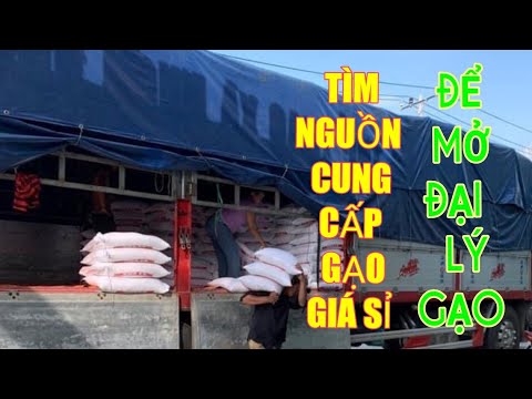 Cách tìm nguồn gạo sỉ để kinh doanh | Foci