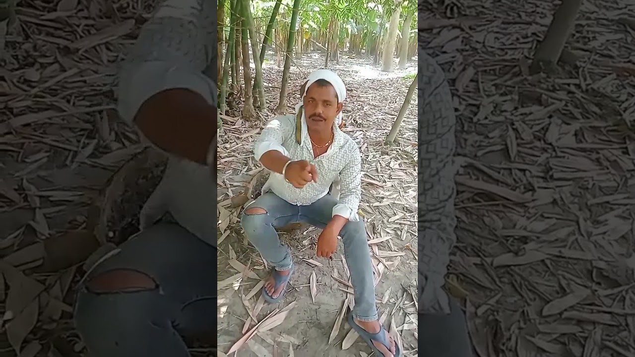 mukhiya ji 🤣🤣😅😀...