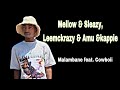 Mellow & Sleazy, Leemckrazy & Amu &kappie - Malambane feat. Cowboii