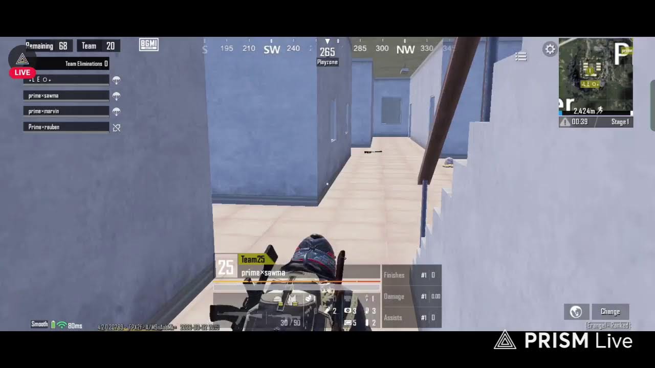 FAIRY  PAID SCRIMS 8-10