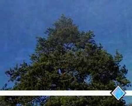 Watch FORCE MAJEURE INTRODUCTION on YouTube Watch FORCE MAJEURE INTRODUCTION on YouTube