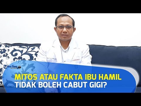 Benarkah Gigi Berlubang Meningkatkan Risiko Keguguran? - Dr. Ardiansjah Dara. 