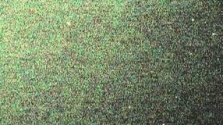 Orionids 21Oct2011