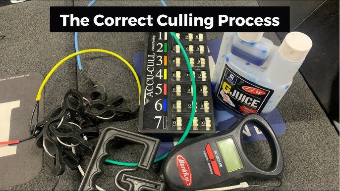 How to Effectively and Easily Cull Fish: the G-Force Gen 2 Conservation  Cull System 