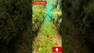 take video underwater with phone |phone underwatera picture | a picture underwater