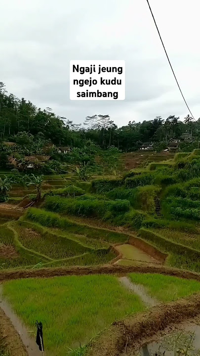 Ngaji Jeung ngejo kudu saimbang. #sundaquote #papatahsunda #papatahkolot #pepelingsunda #pepeling
