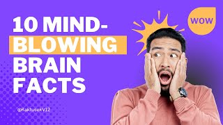 10 Mind-Blowing Brain Facts You Never Learned in School