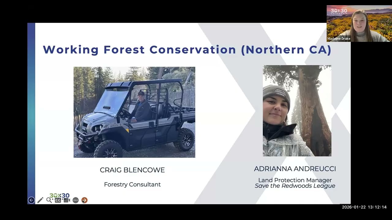 Show Up and Count for 30x30