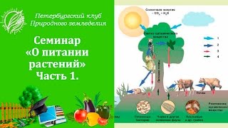 Семинар 5. О питании растений Семинар 5. О питании растений