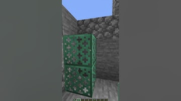 Day 160 Of Placing One Block For EVERY Follower