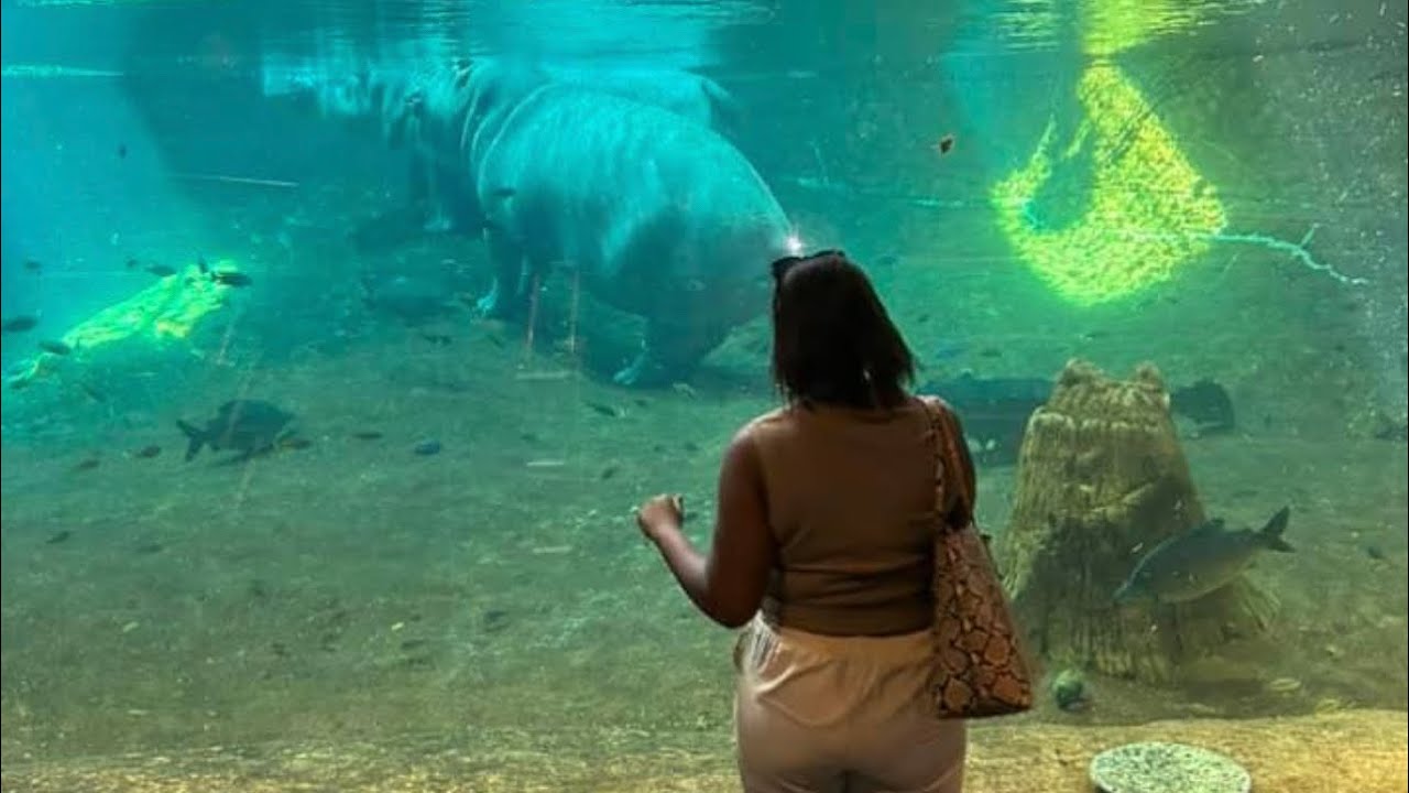 NEW JERSEY ADVENTURE AQUARIUM