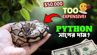 How Much Do Python Snakes Cost? 🐍 $1 Vs $50,000 Python Snake Price in BD | Ball Python price |