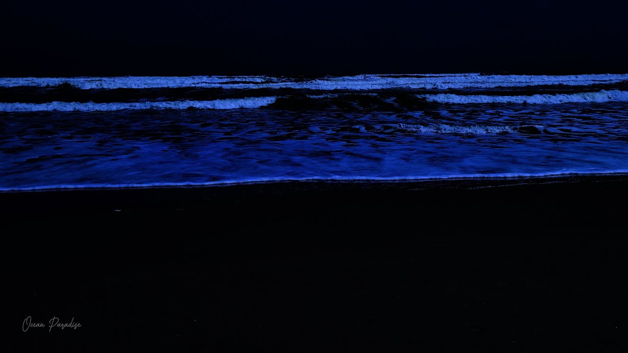 24 ore di suoni dell'oceano e grandi onde per dormire e rilassarsi ...