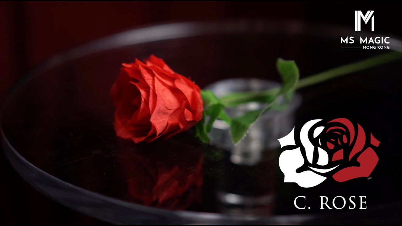 C. Rose / C ローズ（360度対応 変色バラ） - MAGICA-マギカ-