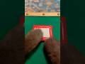 When Cats Etch-A-Sketch  #cats #etchasketch